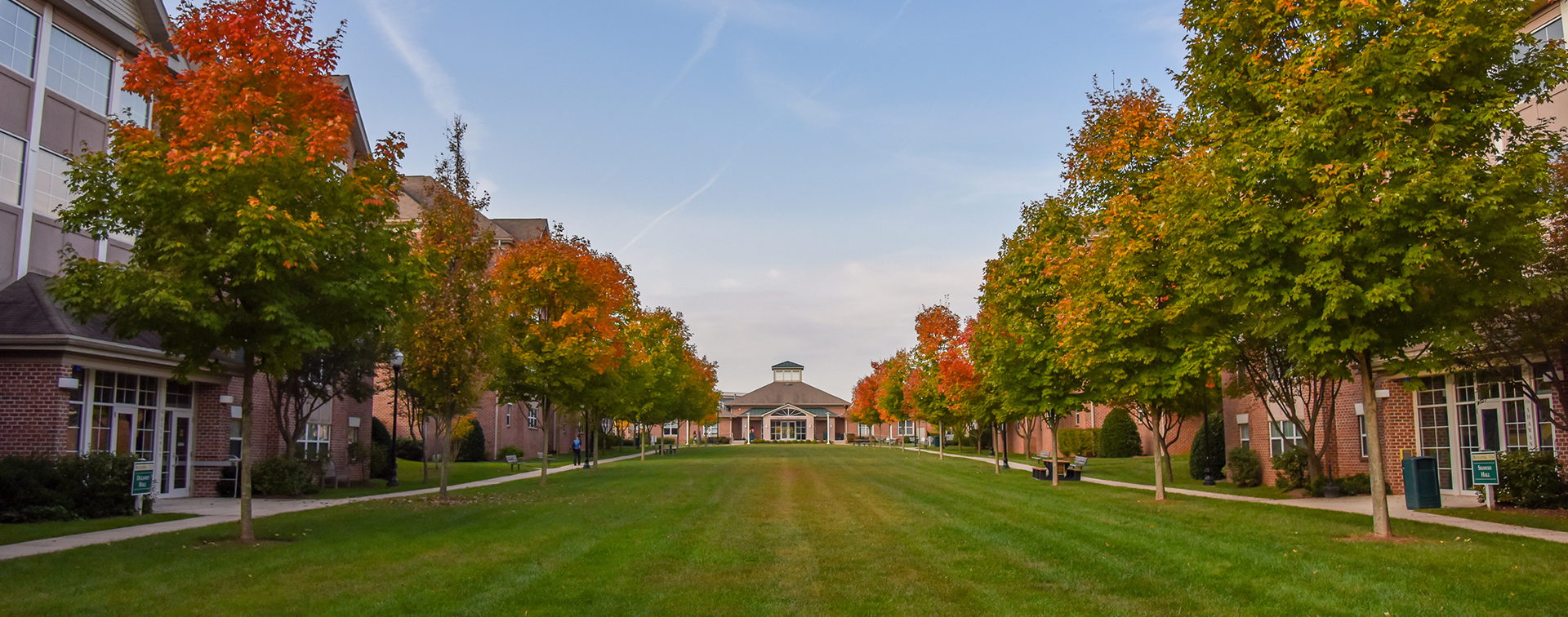 Undergraduate Programs